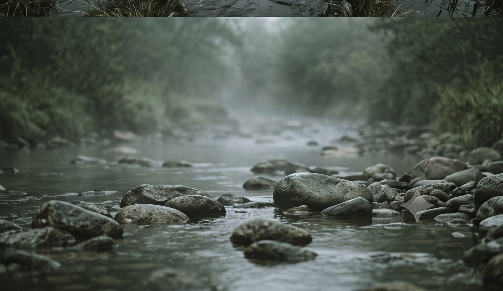 Le lit d'une rivière, pierres affleurant dans le courant